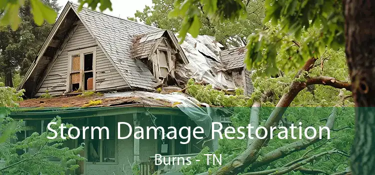 Storm Damage Restoration Burns - TN