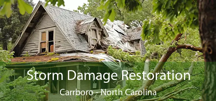 Storm Damage Restoration Carrboro - North Carolina