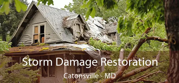 Storm Damage Restoration Catonsville - MD