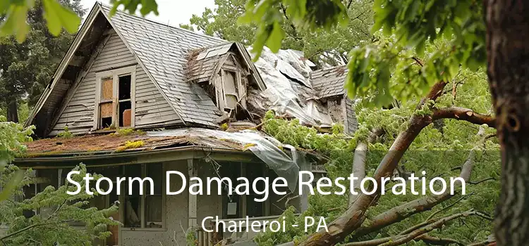 Storm Damage Restoration Charleroi - PA