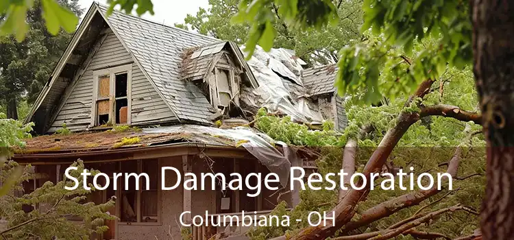 Storm Damage Restoration Columbiana - OH