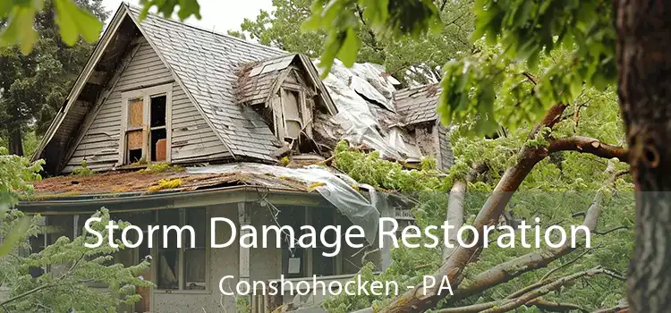 Storm Damage Restoration Conshohocken - PA