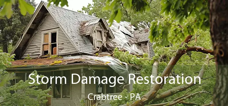 Storm Damage Restoration Crabtree - PA