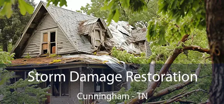 Storm Damage Restoration Cunningham - TN