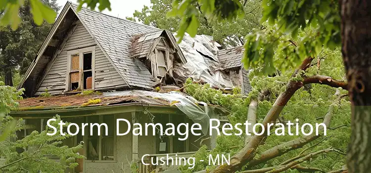 Storm Damage Restoration Cushing - MN