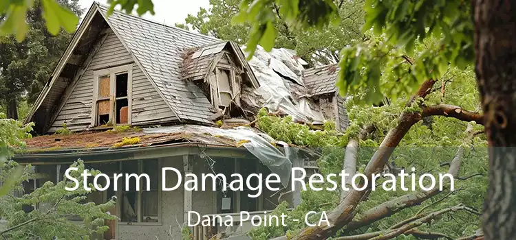 Storm Damage Restoration Dana Point - CA