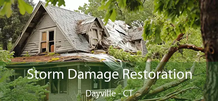 Storm Damage Restoration Dayville - CT