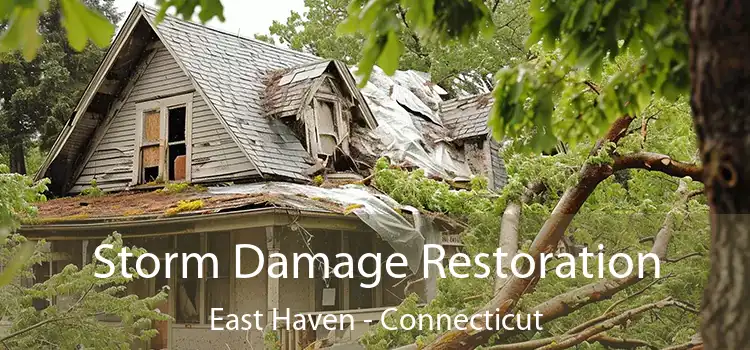 Storm Damage Restoration East Haven - Connecticut