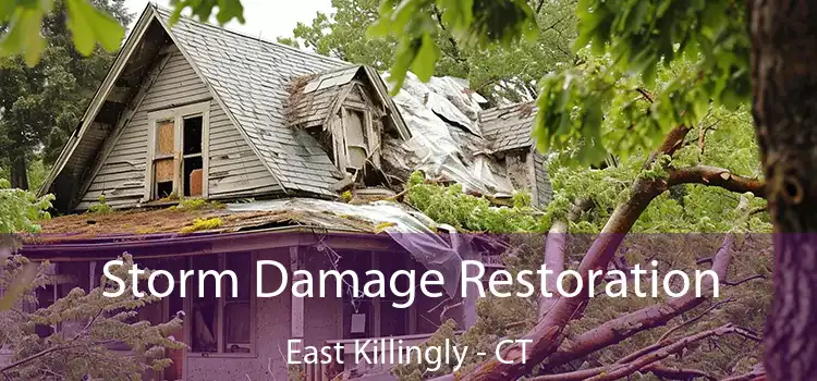 Storm Damage Restoration East Killingly - CT