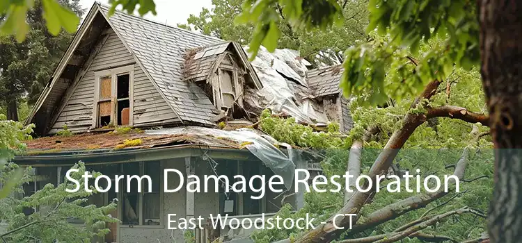 Storm Damage Restoration East Woodstock - CT