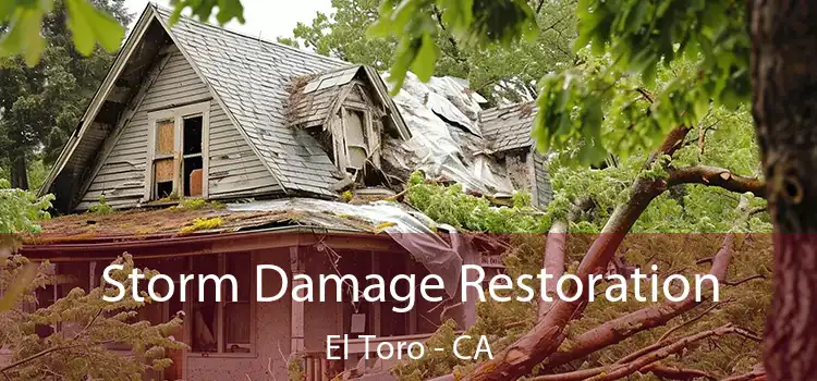 Storm Damage Restoration El Toro - CA