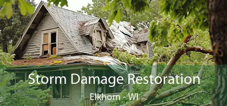 Storm Damage Restoration Elkhorn - WI