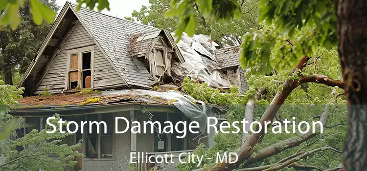 Storm Damage Restoration Ellicott City - MD