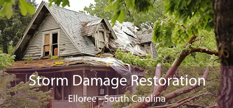 Storm Damage Restoration Elloree - South Carolina