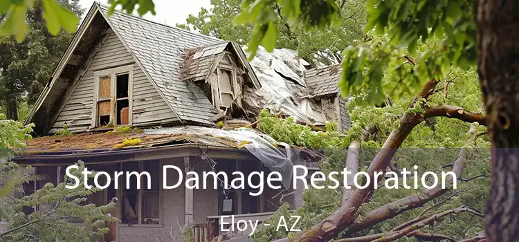 Storm Damage Restoration Eloy - AZ