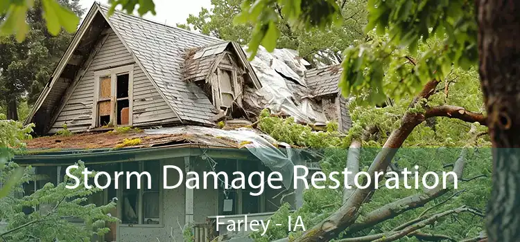 Storm Damage Restoration Farley - IA