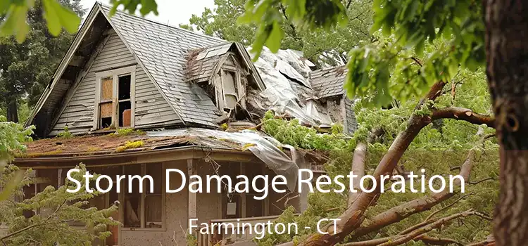 Storm Damage Restoration Farmington - CT