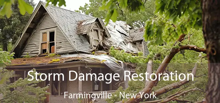 Storm Damage Restoration Farmingville - New York