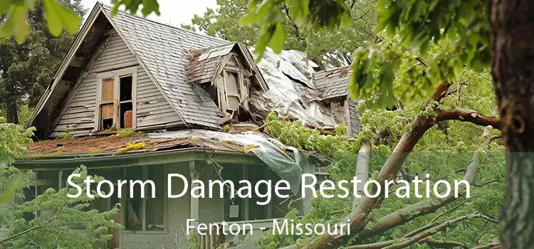 Storm Damage Restoration Fenton - Missouri