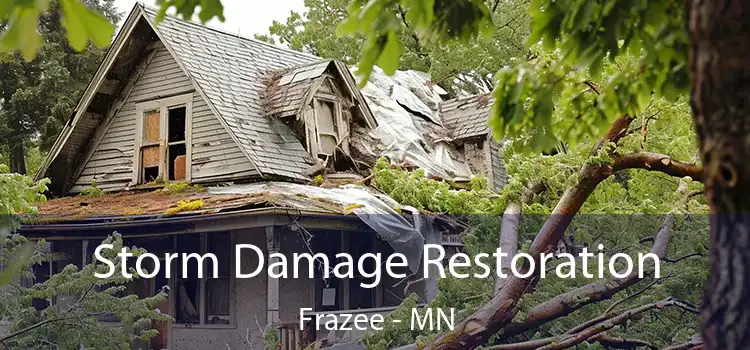 Storm Damage Restoration Frazee - MN