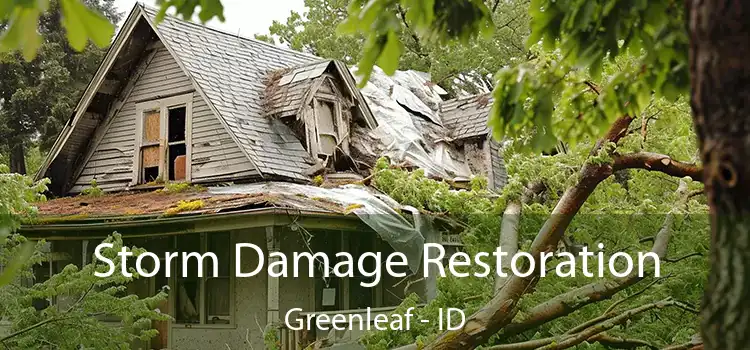 Storm Damage Restoration Greenleaf - ID