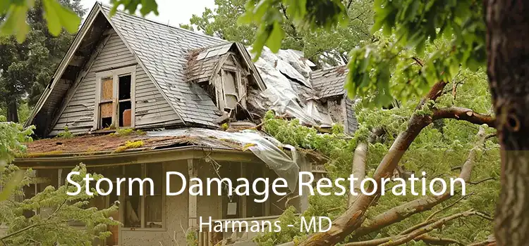 Storm Damage Restoration Harmans - MD