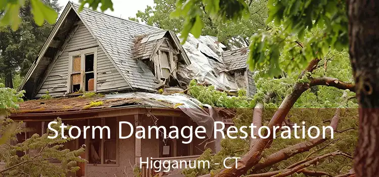 Storm Damage Restoration Higganum - CT