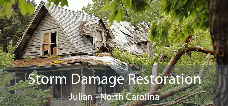 Storm Damage Restoration Julian - North Carolina