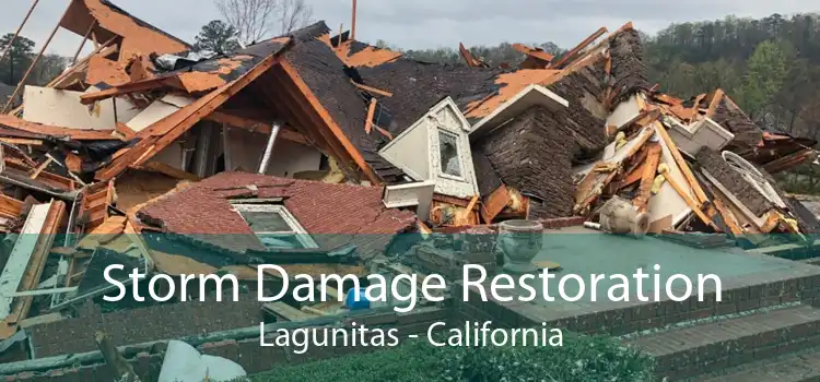 Storm Damage Restoration Lagunitas - California