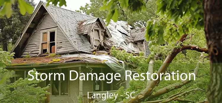 Storm Damage Restoration Langley - SC