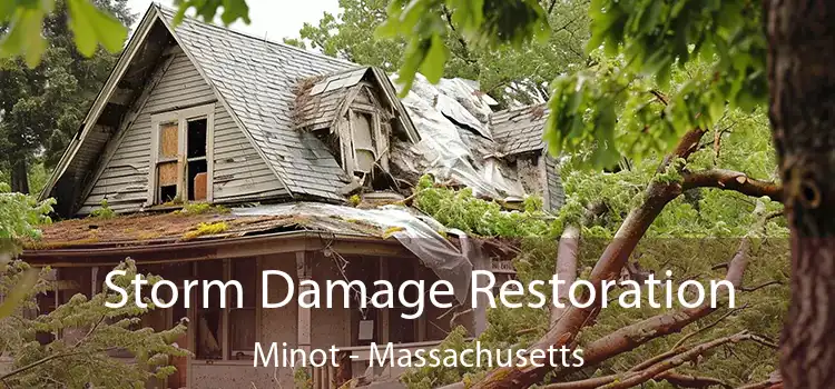 Storm Damage Restoration Minot - Massachusetts