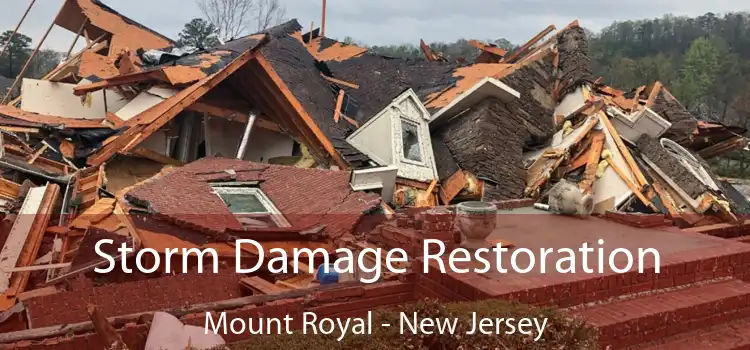 Storm Damage Restoration Mount Royal - New Jersey