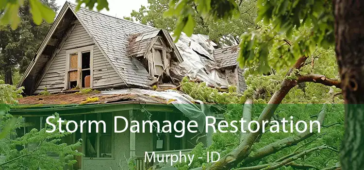 Storm Damage Restoration Murphy - ID