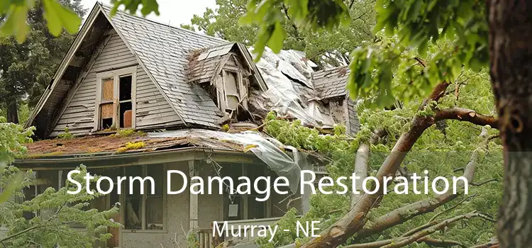 Storm Damage Restoration Murray - NE