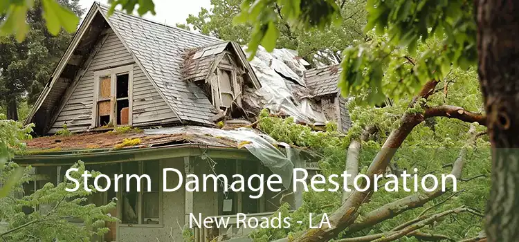 Storm Damage Restoration New Roads - LA