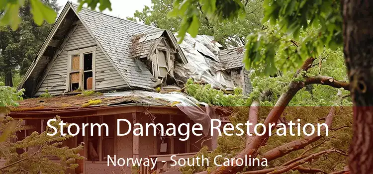 Storm Damage Restoration Norway - South Carolina