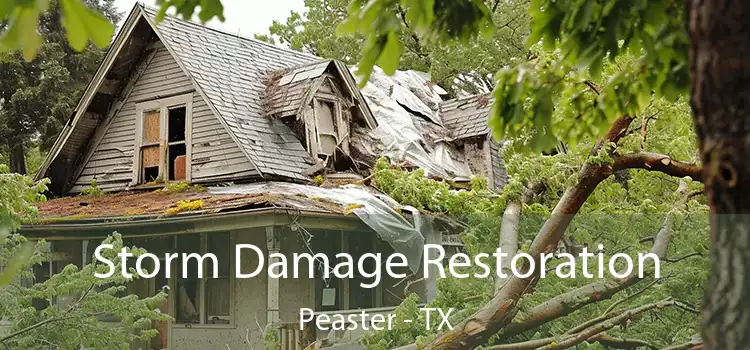 Storm Damage Restoration Peaster - TX