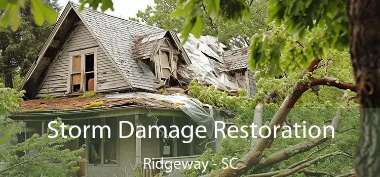 Storm Damage Restoration Ridgeway - SC