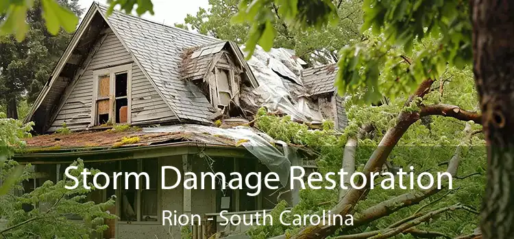 Storm Damage Restoration Rion - South Carolina