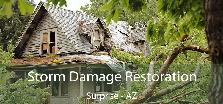 Storm Damage Restoration Surprise - AZ