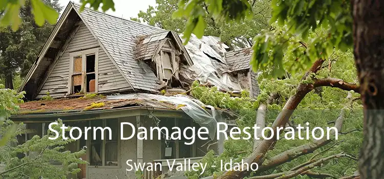 Storm Damage Restoration Swan Valley - Idaho