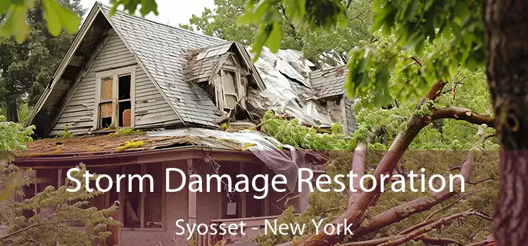 Storm Damage Restoration Syosset - New York