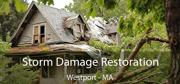 Storm Damage Restoration Westport - MA