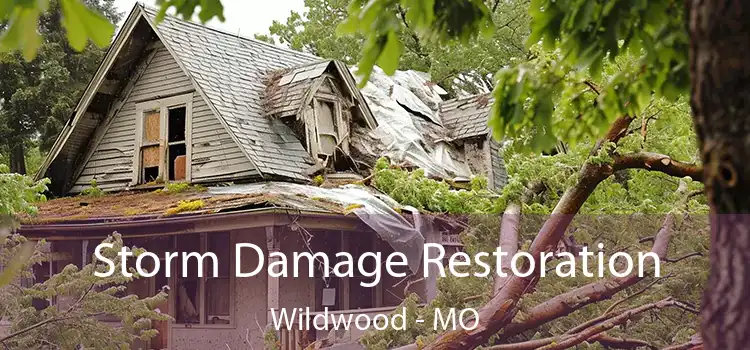 Storm Damage Restoration Wildwood - MO