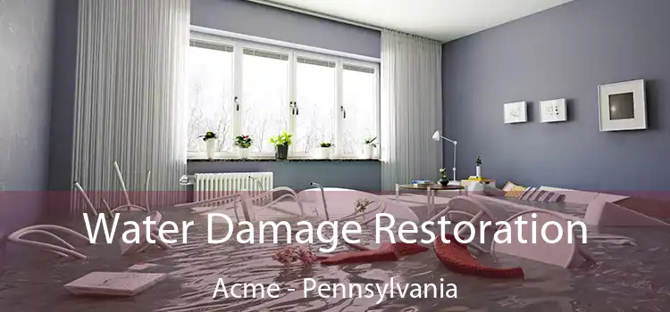 Water Damage Restoration Acme - Pennsylvania