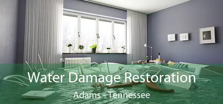 Water Damage Restoration Adams - Tennessee