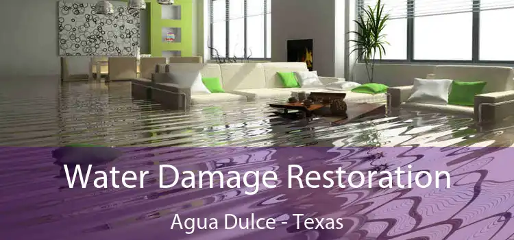 Water Damage Restoration Agua Dulce - Texas