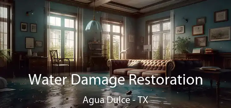 Water Damage Restoration Agua Dulce - TX