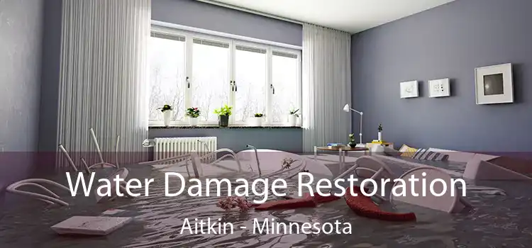 Water Damage Restoration Aitkin - Minnesota