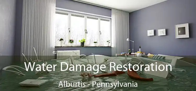 Water Damage Restoration Alburtis - Pennsylvania